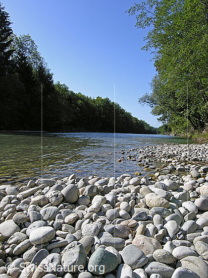 Foto: Emme bei Hasle-Rüegsau. Im Vordergrund eine Kiesbank.