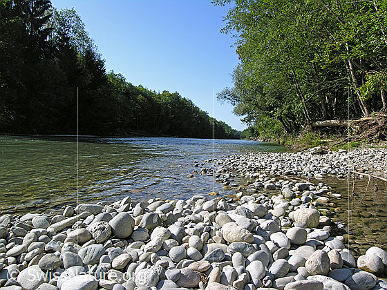 Foto: Emme bei Hasle-Rüegsau