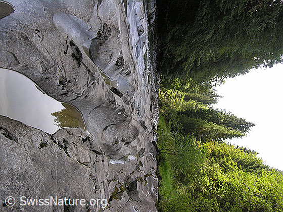 Foto: Am Oberlauf der Emme. Die Emme hat im Lauf der Zeit interessante Strukturen in den Fels geschliffen. In einigen Vertiefungen hat sich Wasser gesammelt. Mit Spiegelung.