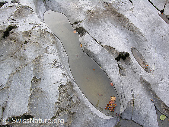 Foto: Am Oberlauf der Emme. Die Emme hat im Lauf der Zeit interessante Strukturen in den Fels geschliffen. In einigen Vertiefungen hat sich Wasser gesammelt.