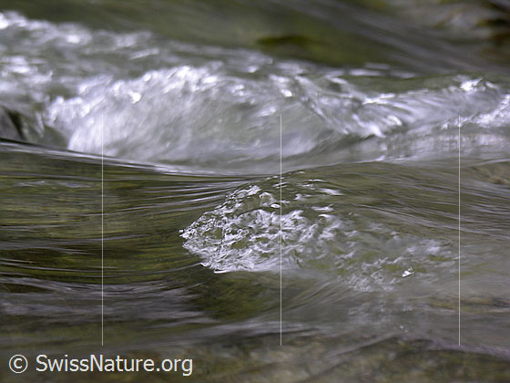 Foto: Am Oberlauf der Emme: Kleinen Welle mit gebrochener Oberfläche.