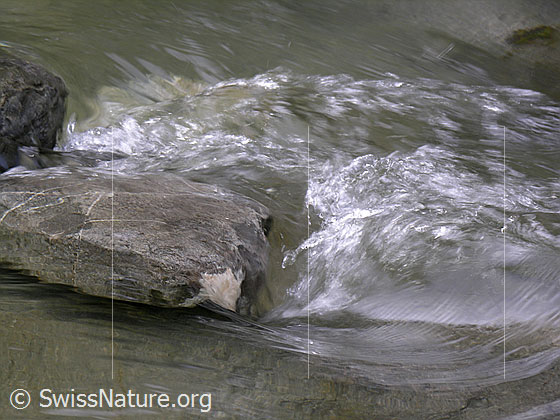 Foto: Um einen in der Emme liegenden Stein hat sich ein kleiner Wasserstrudel gebildet.