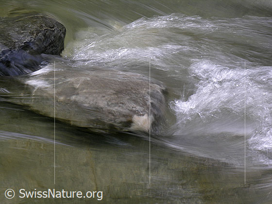 Foto: Um einen in der Emme liegenden Stein hat sich ein kleiner Wasserstrudel gebildet.