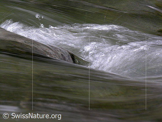 Foto: Am Oberlauf der Emme: Ein kleiner Strudel (Wasserwirbel) hat sich gebildet.