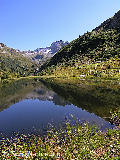 Foto: Blick über den Halsesee zum Ofenhorn. Mit Spiegelung. Farbe des Wassers: Dunkelblau