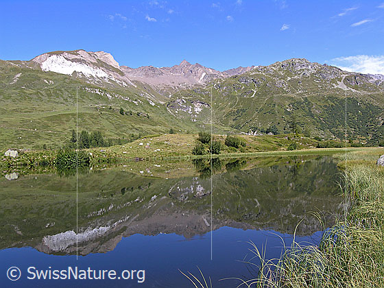 Foto: Blick über den Halsesee zu Turbechepf, Turbhorn und Mittlenberg. Mit Spiegelung. Ufer mit langen Gräsern.