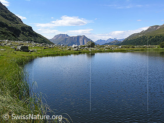 Foto: Blick über den Halsesee (Binntal) zu Bättlihorn und Breithorn. Farbe des Wassers: Dunkelblau. Mit schwacher Spiegelung.