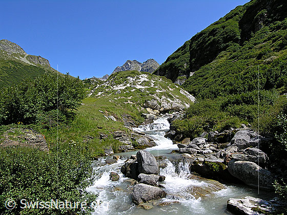 Foto: Bergbach Binna bei Chiestafel (östlicher Teil des Binntal). Im Hintergrund das Ofenhorn. Im Bachbett liegen grosse Felsblöcke.