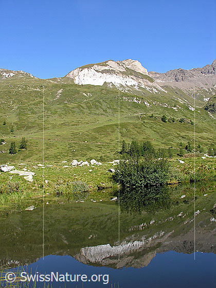 Foto: Spieglung der Turbechepf im Halsesee, Binntal.