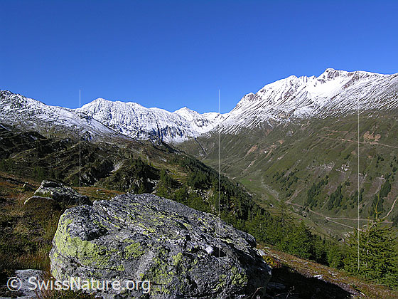 Foto: Blick über einen Felsblock ins Saflischtal und zu Oberblatthorn, Saflischpass und Bättlihorn, welche bereits leicht verschneit sind.