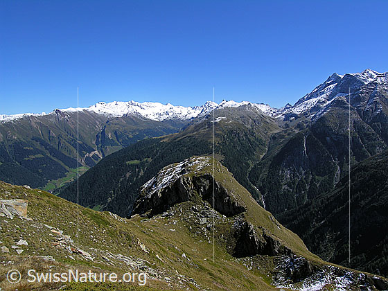 Foto: Blick vom Sickeregale auf den Gipfel des Meiggerhorns und über das Binntal. Die Berge im Hintergrund sind bereits verschneit. Stockhorn, Schwarzhorn, Fleschhorn und Punta Gerla sind leicht überzuckert.