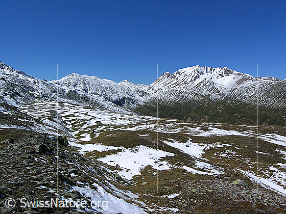 Foto: Blick über die schmale Hochebene von Sickeregale zu Oberblatthorn, Saflischpass, Huwetz und Bättlihorn. Die Berge sind bereits leicht verschneit.