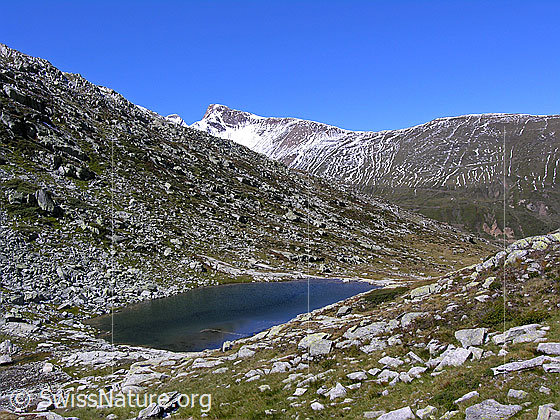 Foto: Witentirsee eingebettet in steiniger Weidelandschaft.