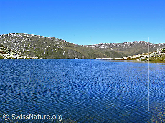 Foto: Blick über den leicht gewellten Witentirsee. Im Hintergrund sind Furggerchäller und Breithorn zu sehen.