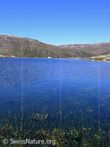 Foto: Blick über den leicht gewellten Witentirsee.