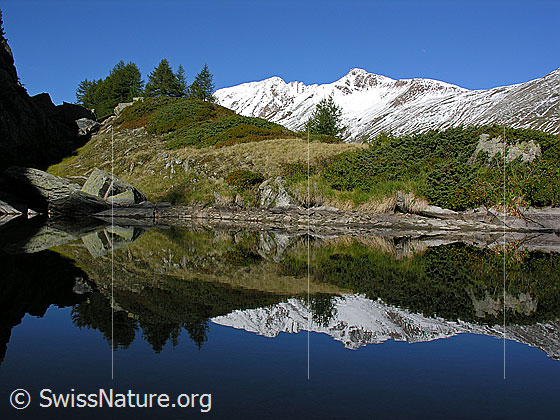 Foto: Spiegelung des Bättlihorns (Saflischtal) in kleinem, spiegelglattem Bergsee.