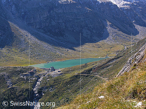 Foto: Blick vom Meiggerhorn auf das Staubecken Chummibort.