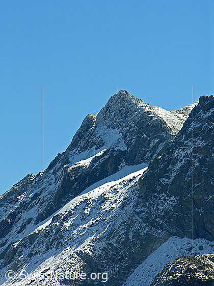 Foto: Gipfel des Meiggerhons: Blick zum Schwarzhorn