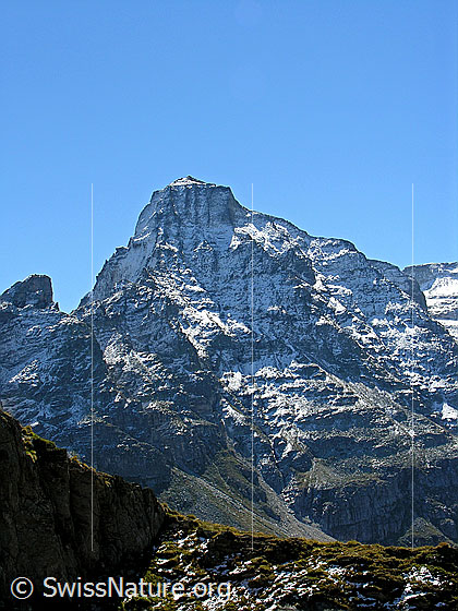 Foto: Blick vom Meiggerhorn zur Vordere Helse.