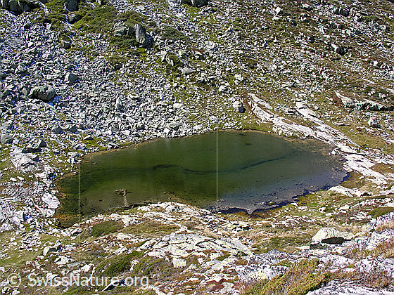 Foto: Blick vom Sickeregale auf den Witentirsee in steiniger Umgebung.