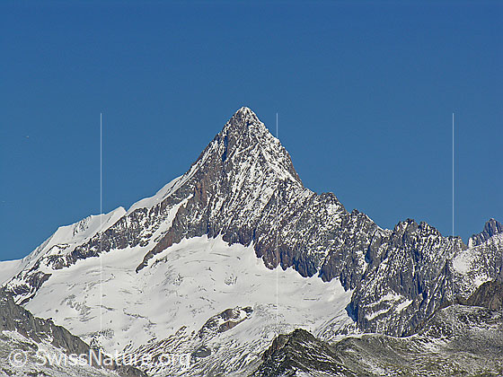 Foto: Finsteraarhorn von Süden.