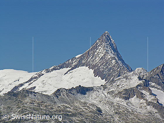 Foto: Finsteraarhorn (Südansicht) und Finsteraarrothorn.