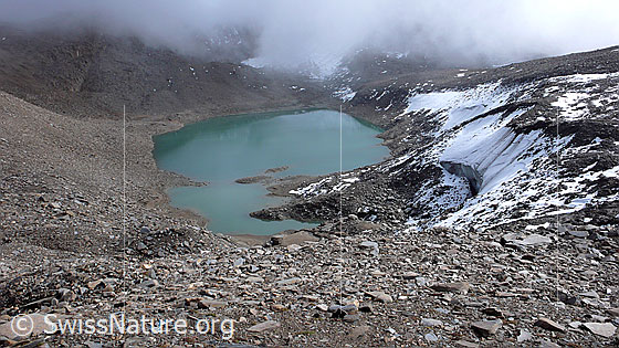 Foto: Gletschersee mit Eisrand, Schutt, Geröll und deutlichen Erosionsspuren (Permafrostgebiet).