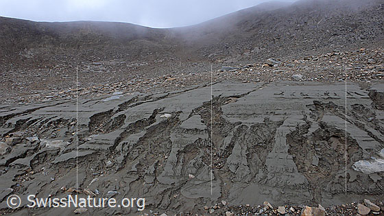 Foto: Erosion: Kleine Canyons aus Lehm und Sand.