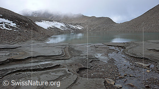 Foto: Erosion am Gletschersee: Abziehendes Wasser hat diese faszinierenden Formen und Strukturen im Lehm hinterlassen.