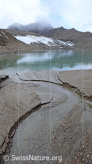 Foto: Erosion durch Wasser: Einmündung eines Wasserlaufs in Gletschersee. Das Wasser sucht sich seinen Weg durch die Lehmschicht. Im Hintergrund ist das von Wolkenschwaden umgebene Holzjihorn und der Eisrand des Bergsees zu sehen.