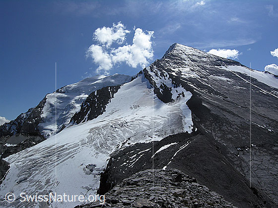 Foto: Blick vom Gipfel des Ober Tatelishorn zum Balmhorn (Nordwand mit Balmhorngletscher), dem Altelsgletscher, dem Nordgrat der Altels und die weitgehend ausgeaperte NW-Flanke (  Nordwestflanke) der Altels.