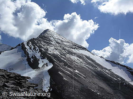 Foto: Blick auf den Nordgrat und die weitgehend ausgeaperte Nordwest-Flanke der Altels.