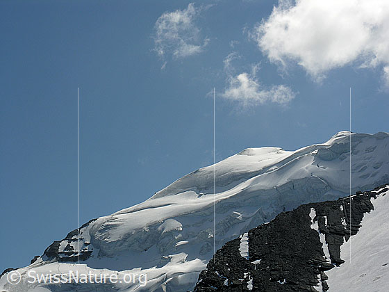 Foto: Balmhorn von NW. Blick in den oberen Teil der Nordwand, in welchem die mächtigen Abbrüche des Balmhorngletscher zu sehen sind.