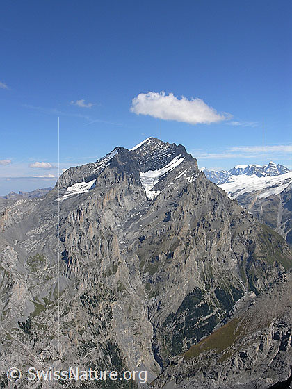 Foto: Doldenhorn von SW. Steile, gegen 2000m hohe Felswände fallen ins Gasteretal ab.
Gletscher am Doldenhorn: Links der Fulegletscher, rechts der Silleregletscher.