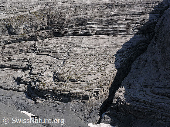 Foto: Abwärts geschichteter Fels in der NW-Flanke der Altels