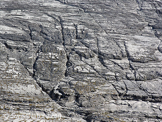 Foto: Zerfurchter Fels in der NW-Flanke der Altels.