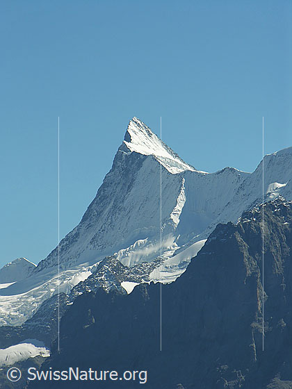 Foto: Finsteraarhorn mit steilen Bergflanken und schmalem Grat. Unterhalb des markanten Bergs verläuft der Finsteraargletscher.