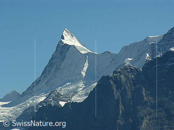 Foto: Finsteraarhorn mit steilen Bergflanken und schmalem Grat. Unterhalb des markanten Bergs verläuft der Finsteraargletscher.