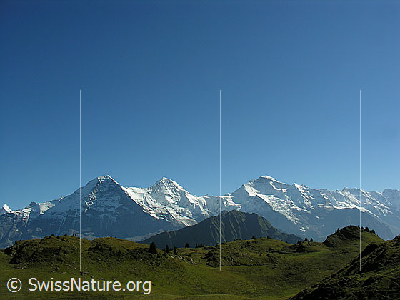 Foto: Alpweide vor Eiger, Mönch und Jungfrau (Dreigestirn).
