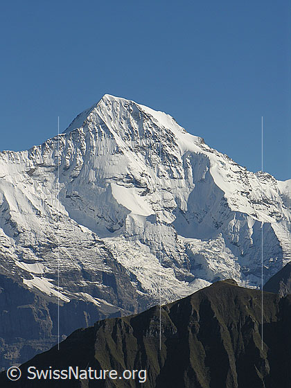 Foto: Mönch (Nordwand und Nollen).