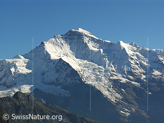 Foto: Jungfrau, Giessengletscher und Silberhorn.