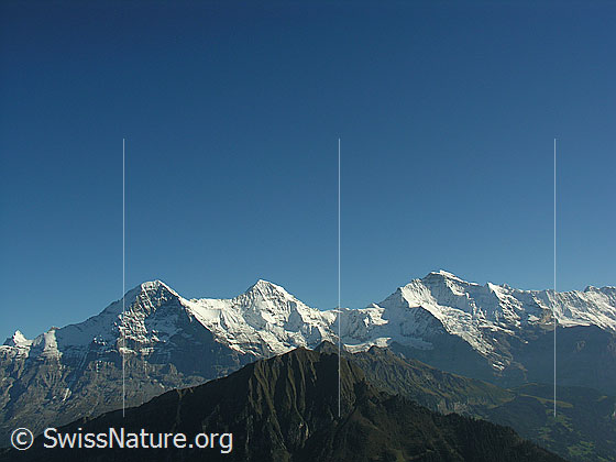 Foto: Blick von der Schynige Platte über den Männlichen zu Eiger, Mönch und  Jungfrau.