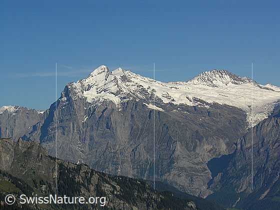 Foto: Blick von der Schynige Platte zu Scheideggwetterhorn, Wetterhorn Chrinnenhorn und Bärglistock.