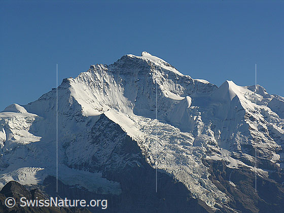 Foto: Jungfrau mit Silberhorn und Giesengletscher.