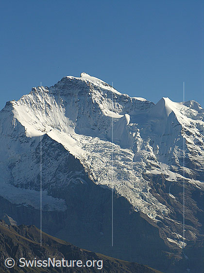 Foto: Jungfrau mit Giesengletscher und Silberhorn.