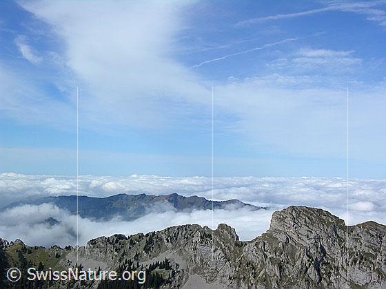 Foto: Blick vom Fürstein über die Schwändilifluh und die Beichlen auf ein umfassendes Nebelmeer. Darüber Schleierwolken.