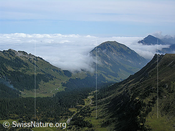 Foto: Ein umfassendes Nebelmeer stösst an die Voralpen . Zu sehen sind Schimbrig und Risetestock.