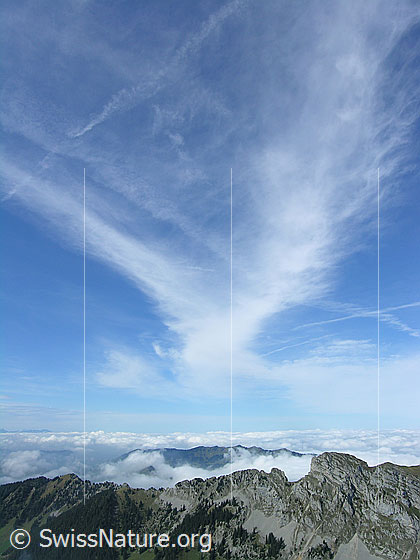 Foto: Blick vom Fürstein über die Schwändilifluh und die Beichlen auf ein umfassendes Nebelmeer. Schleierwolken zieren den blauen Himmel.