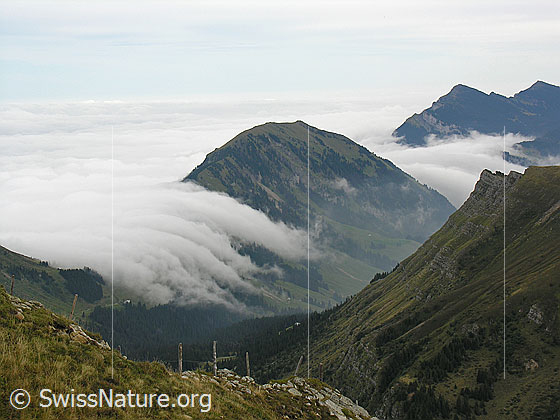 Foto: Ein umfassendes Nebelmeer stösst an die Voralpen und bildet an Schimbrig und Risetestock eine Nebelwalze.