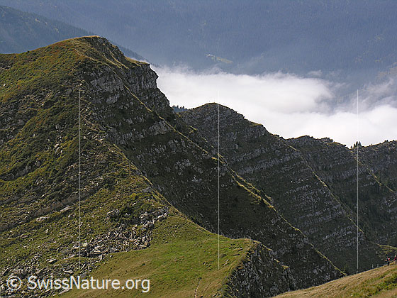 Foto: Mit Fels und Grasbändern durchsetzte Berghänge am Fürstein.